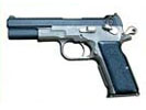 Dornaus & Dixon Bren Ten 10mm Pistol