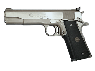 AMT Pistol Javelina 10 mm Variant-1