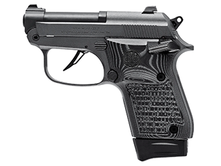 Beretta 20X Bobcat Variant-3