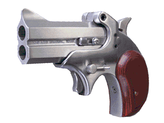 Bond Arms Pistol Cowboy Defender 9 mm Variant-1