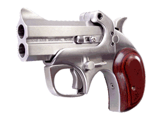 Bond Arms Pistol Texas Defender .357 Mag Variant-1