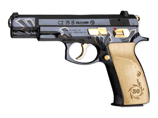 CZ Pistol 75 B 9 mm Variant-2