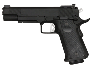 Dan Wesson Pistol Titan 10 mm Variant-1