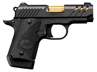 Kimber Pistol Micro 9 9 mm Variant-17