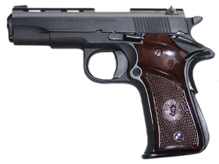 Llama III A Variant-5