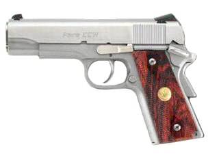 Para Pistol CCW .45 Auto Variant-1