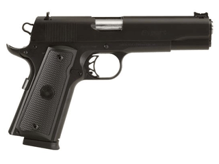 Para Pistol Expert .45 Auto Variant-1