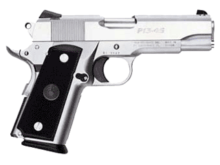 Para Pistol P13-45 Stainless .45 Auto Variant-1