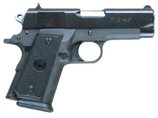 Para Pistol P12-45 .45 Auto Variant-1