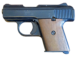 Raven MP-25 Variant-4