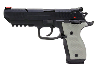 AREX-Rex Pistol Alpha 9 mm Variant-4