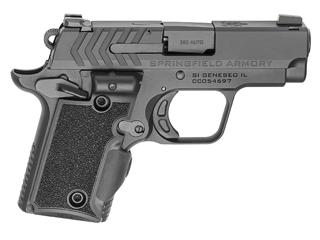 Springfield Armory Pistol 911 .380 Auto Variant-3