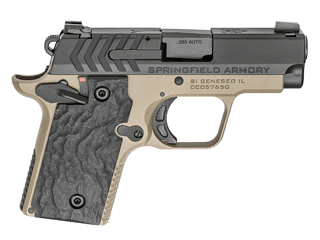 Springfield Armory Pistol 911 .380 Auto Variant-6