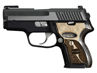 SIG Pistol P224 9 mm Variant-3