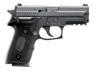 SIG P229 Variant-5