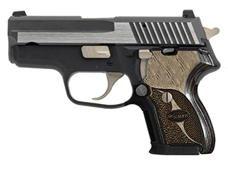 SIG P224 Variant-8