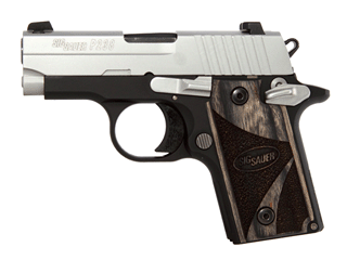 SIG P238 Variant-5