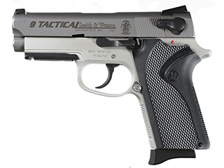 Smith & Wesson 3913TSW Variant-2