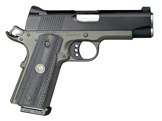 Wilson Combat Pistol Professional Model .45 Auto Variant-1