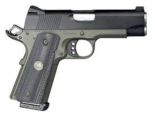 Wilson Combat Professional Model Variant-1